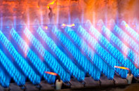 Annfield Plain gas fired boilers